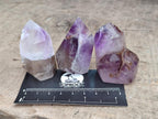 Polished Smokey Amethyst Window Crystals x 24 From Akansobe, Madagascar - Toprock Gemstones and Minerals 