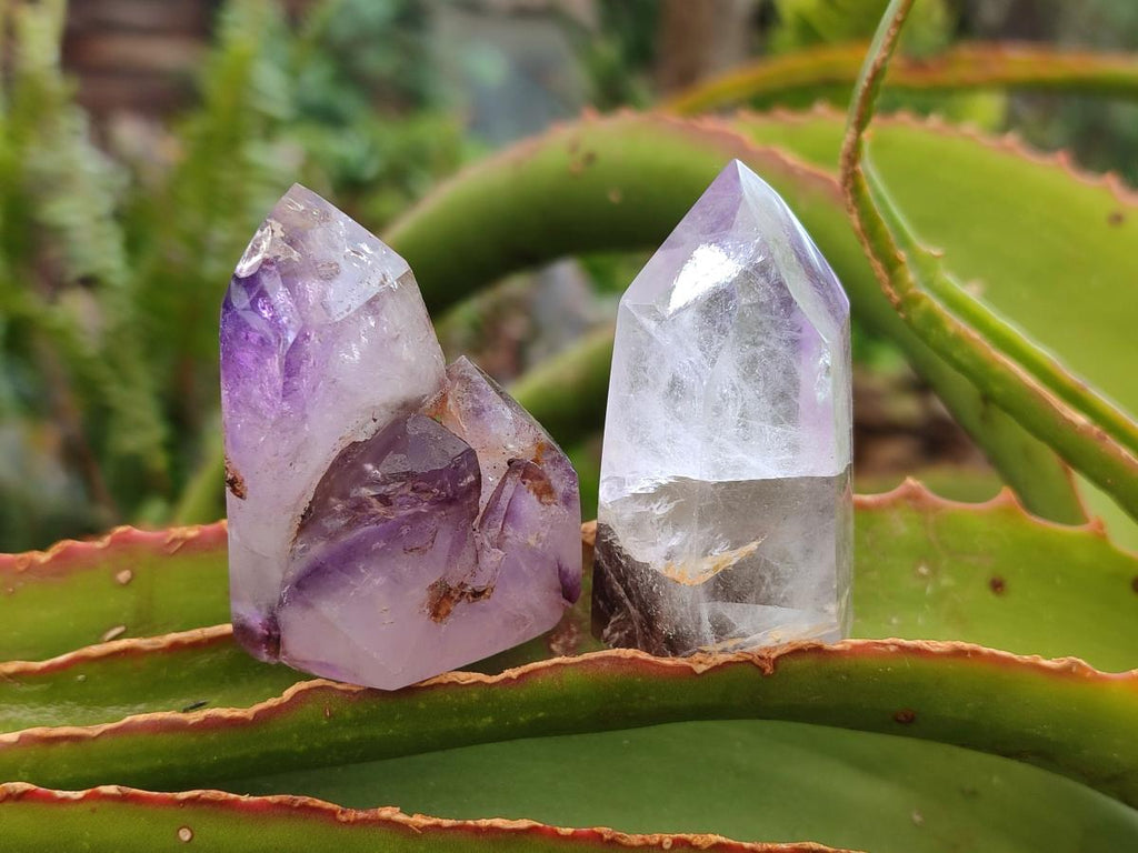 Polished Smokey Amethyst Window Crystals x 24 From Akansobe, Madagascar - Toprock Gemstones and Minerals 