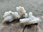 Natural Drusy Snow Finger Crystal Clusters x 24 From Albert's Mountain, Lesotho - Toprock Gemstones and Minerals 