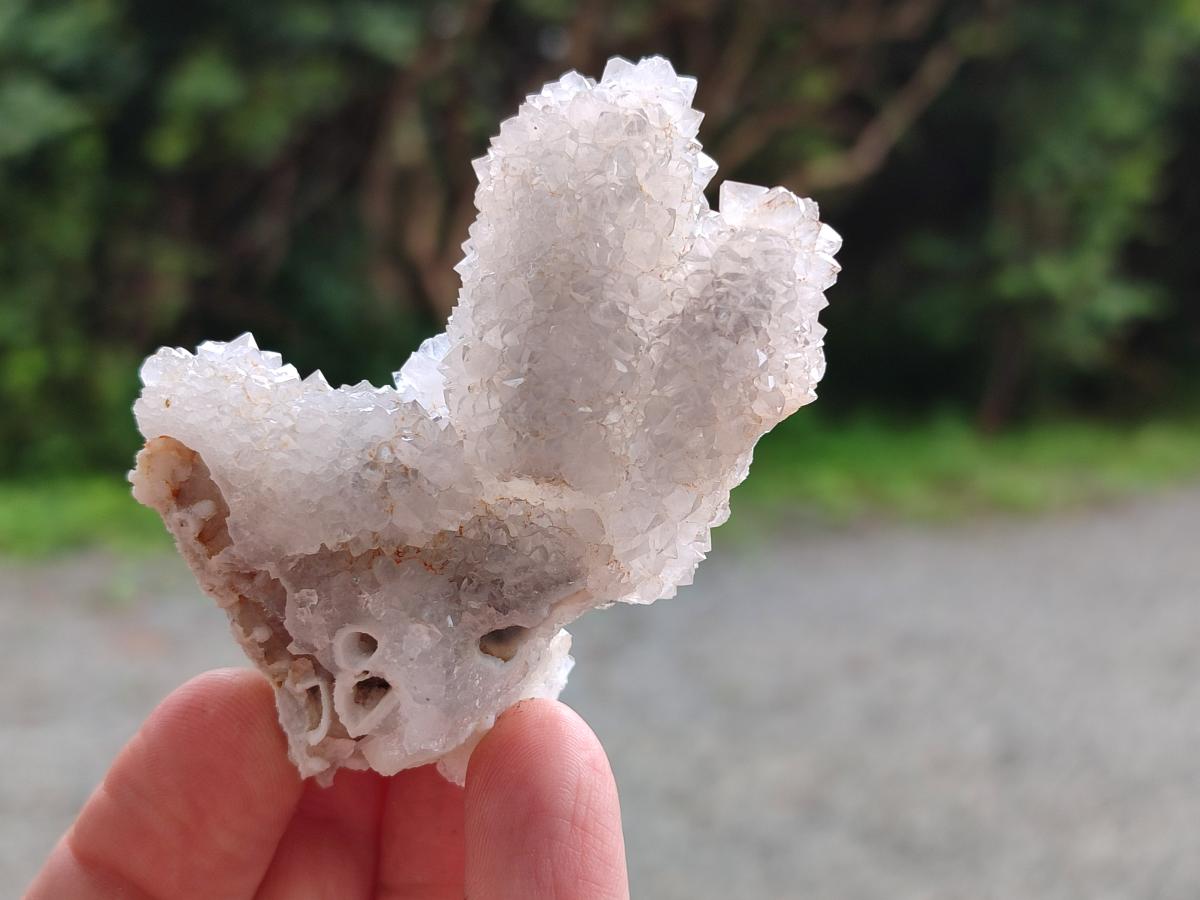 Natural Drusy Snow Finger Crystal Clusters x 24 From Albert's Mountain, Lesotho - Toprock Gemstones and Minerals 