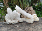 Natural Drusy Snow Finger Crystal Clusters x 24 From Albert's Mountain, Lesotho - Toprock Gemstones and Minerals 