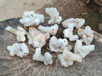 Natural Drusy Snow Finger Crystal Clusters x 24 From Albert's Mountain, Lesotho - Toprock Gemstones and Minerals 