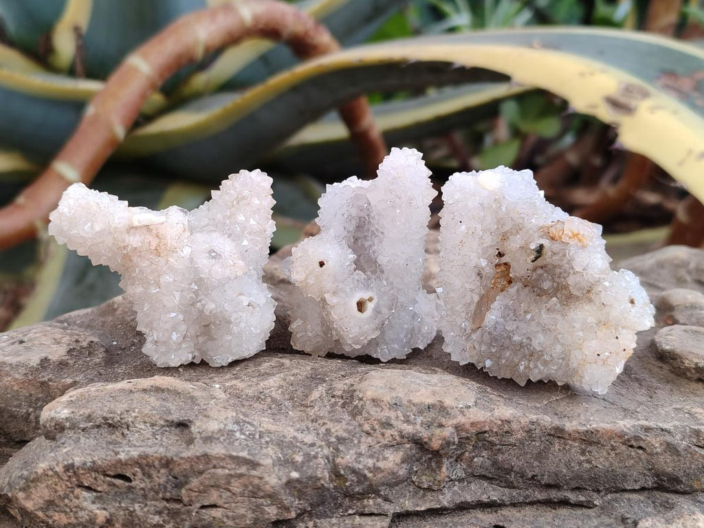 Natural Drusy Snow Finger Crystal Clusters x 24 From Albert's Mountain, Lesotho - Toprock Gemstones and Minerals 