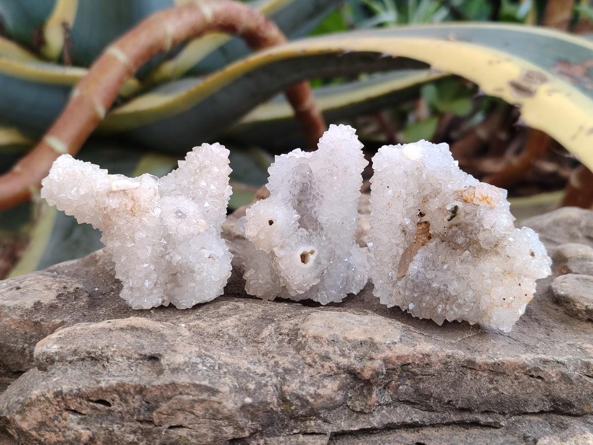 Natural Drusy Snow Finger Crystal Clusters x 24 From Albert's Mountain, Lesotho - Toprock Gemstones and Minerals 