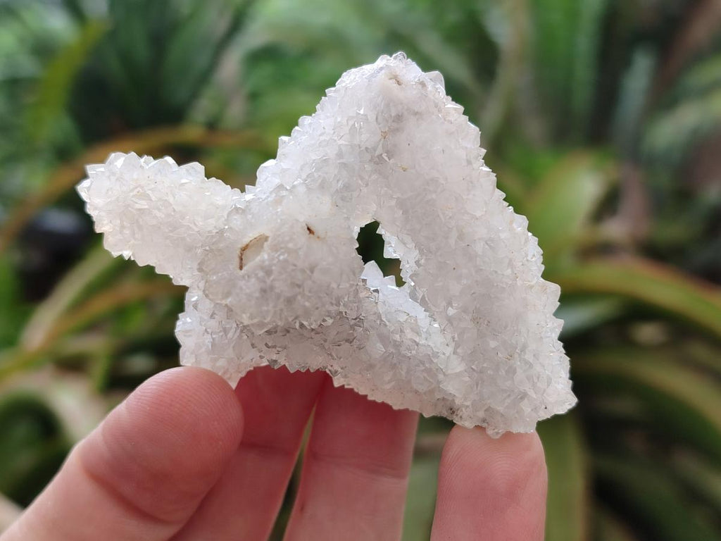 Natural Drusy Snow Finger Crystal Clusters x 24 From Albert's Mountain, Lesotho - Toprock Gemstones and Minerals 