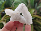 Natural Drusy Snow Finger Crystal Clusters x 24 From Albert's Mountain, Lesotho - Toprock Gemstones and Minerals 