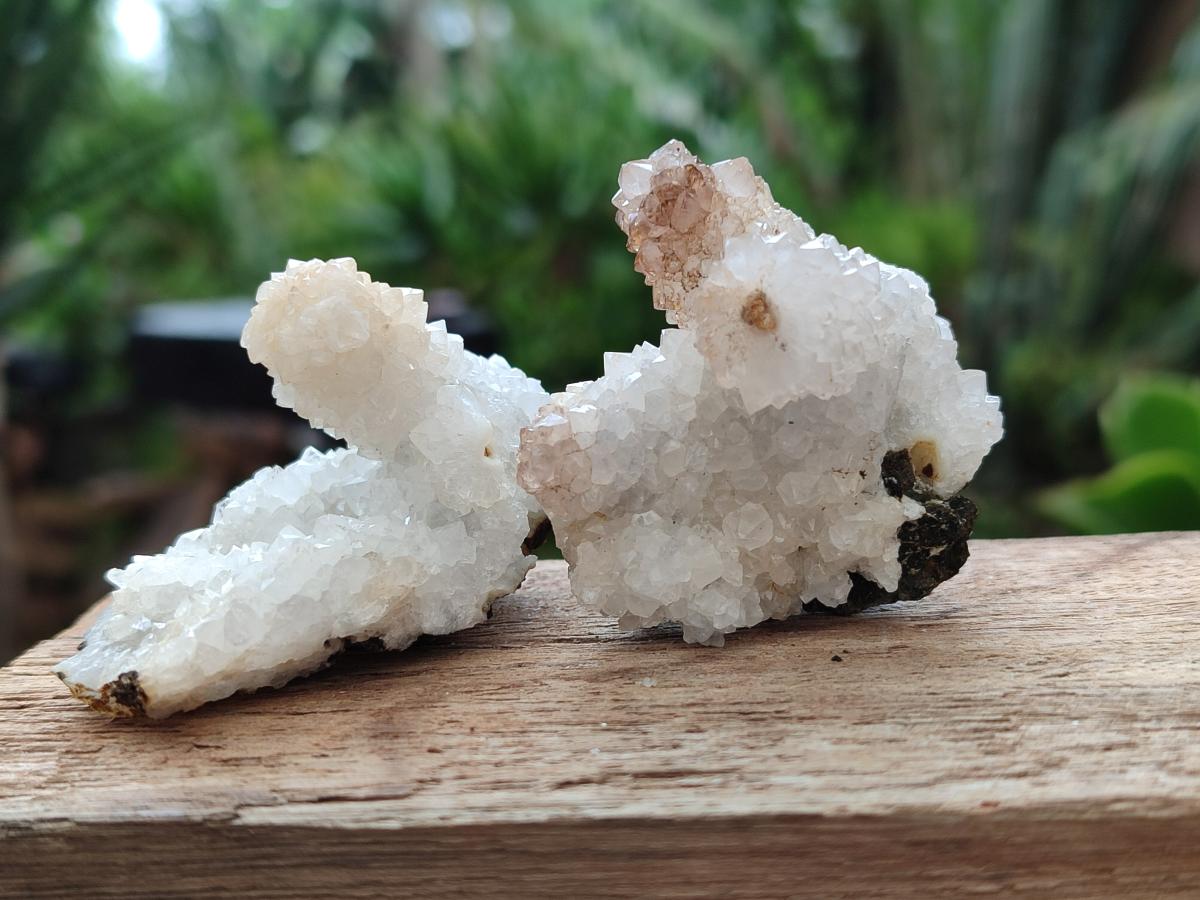 Natural Drusy Snow Finger Crystal Clusters x 24 From Albert's Mountain, Lesotho - Toprock Gemstones and Minerals 