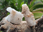 Natural Drusy Snow Finger Crystal Clusters x 24 From Albert's Mountain, Lesotho - Toprock Gemstones and Minerals 