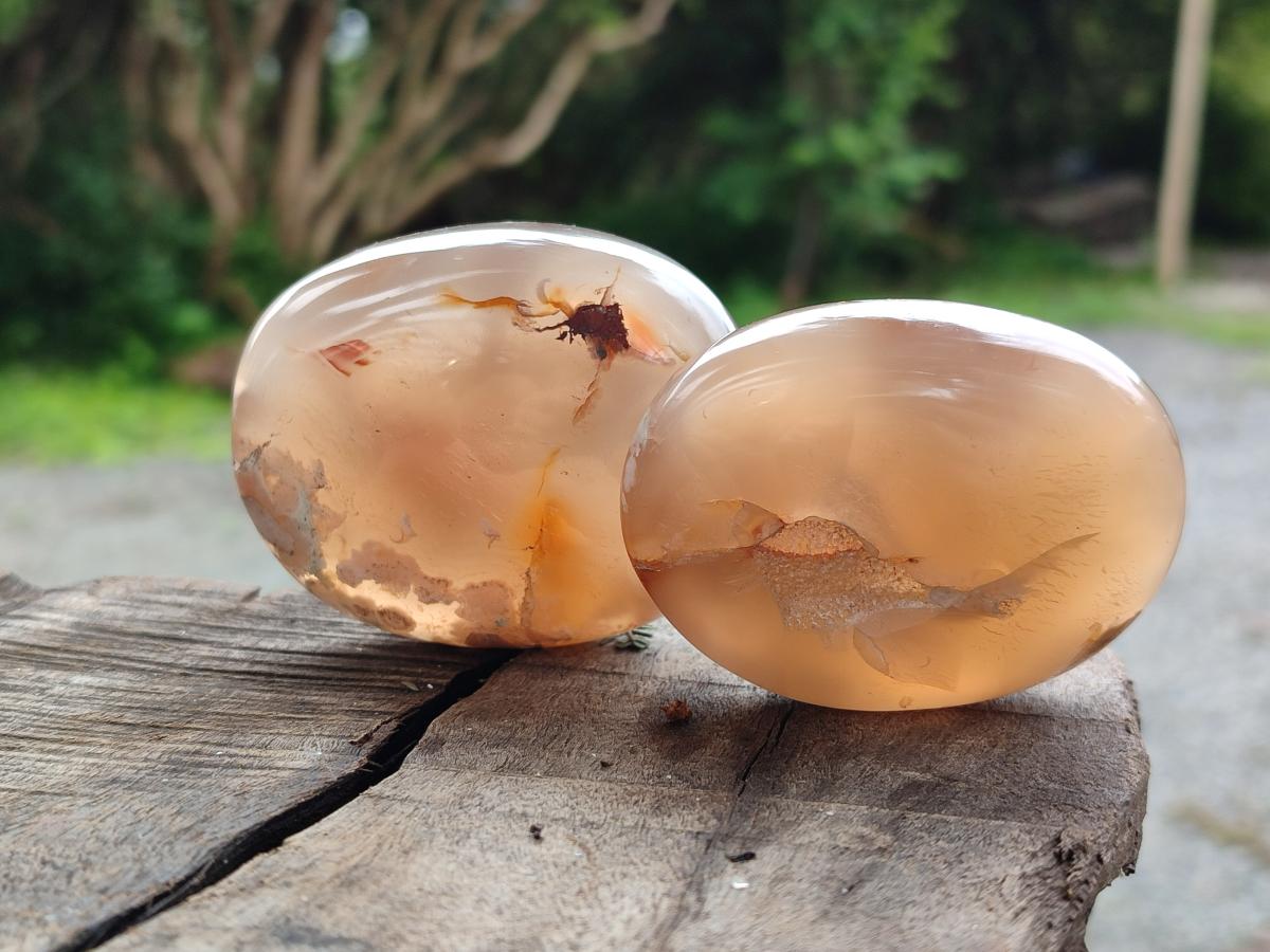 Polished Flower Agate Palm Stones x 24 From Antsahalova, Madagascar - Toprock Gemstones and Minerals 