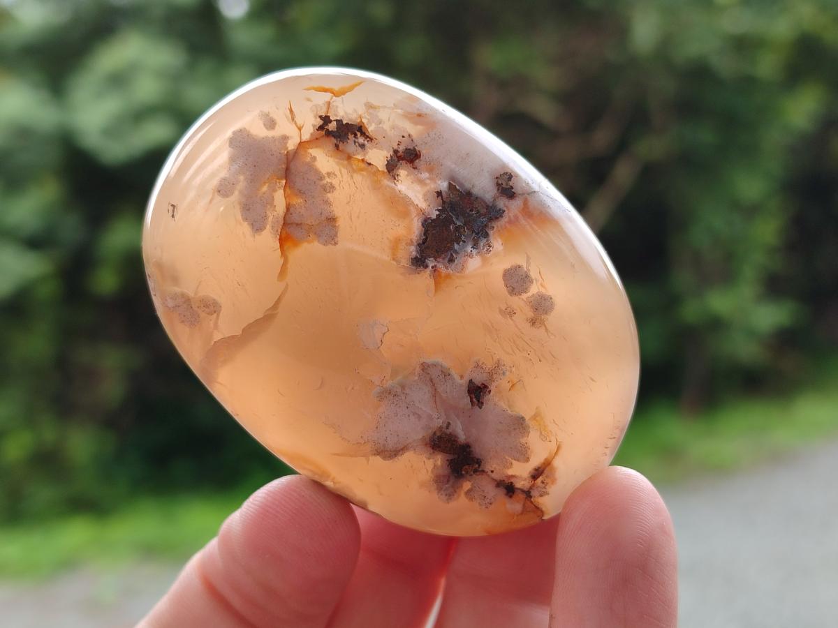 Polished Flower Agate Palm Stones x 24 From Antsahalova, Madagascar - Toprock Gemstones and Minerals 