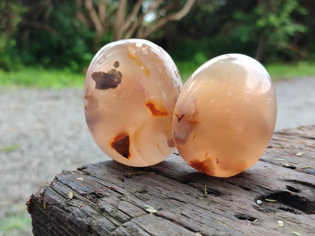 Polished Flower Agate Palm Stones x 24 From Antsahalova, Madagascar - Toprock Gemstones and Minerals 