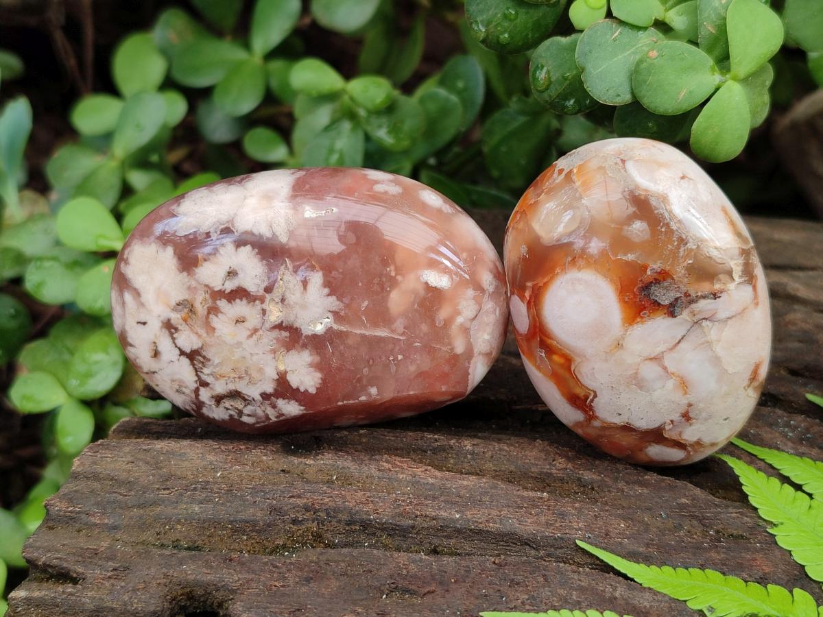 Polished Flower Agate Palm Stones x 24 From Antsahalova, Madagascar - Toprock Gemstones and Minerals 