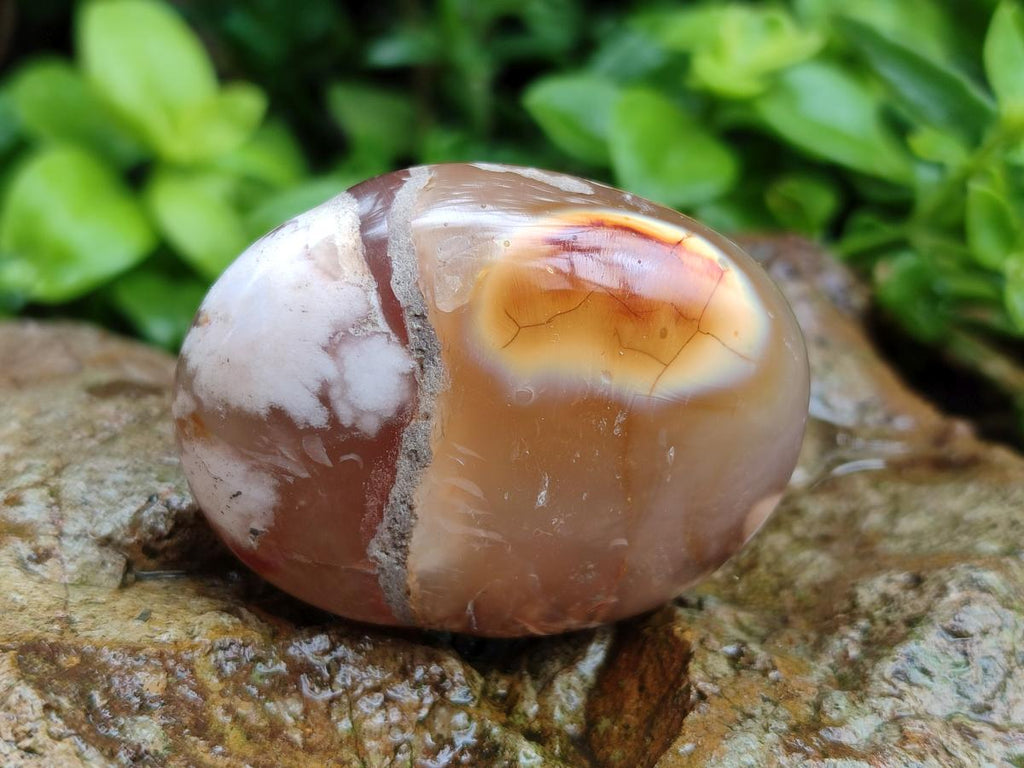 Polished Flower Agate Palm Stones x 24 From Antsahalova, Madagascar - Toprock Gemstones and Minerals 