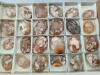 Polished Flower Agate Palm Stones x 24 From Antsahalova, Madagascar - Toprock Gemstones and Minerals 