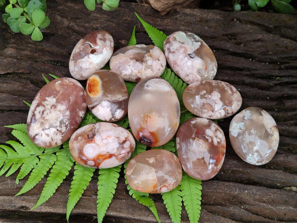 Polished Flower Agate Palm Stones x 24 From Antsahalova, Madagascar - Toprock Gemstones and Minerals 