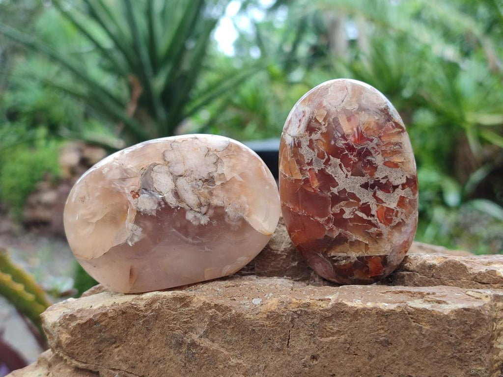 Polished Flower Agate Palm Stones x 24 From Antsahalova, Madagascar - Toprock Gemstones and Minerals 