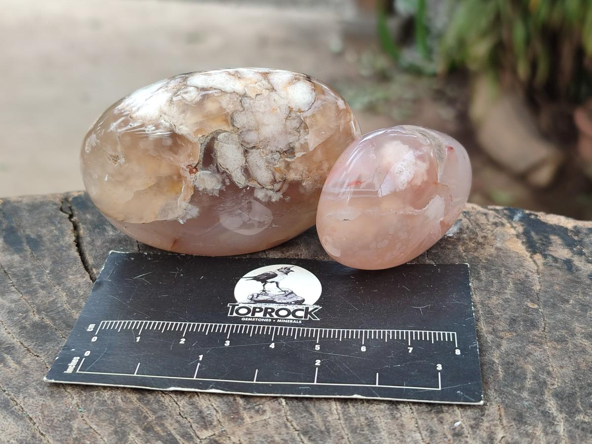 Polished Flower Agate Palm Stones x 24 From Antsahalova, Madagascar - Toprock Gemstones and Minerals 