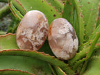 Polished Flower Agate Palm Stones x 24 From Antsahalova, Madagascar - Toprock Gemstones and Minerals 