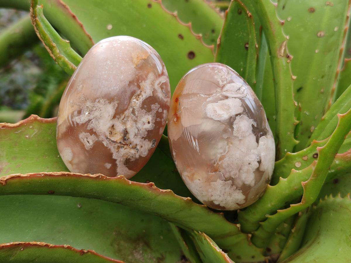 Polished Flower Agate Palm Stones x 24 From Antsahalova, Madagascar - Toprock Gemstones and Minerals 