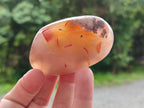 Polished Flower Agate Palm Stones x 24 From Antsahalova, Madagascar - Toprock Gemstones and Minerals 