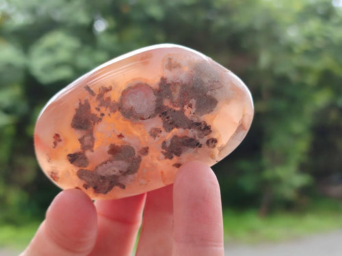 Polished Flower Agate Palm Stones x 24 From Antsahalova, Madagascar - Toprock Gemstones and Minerals 