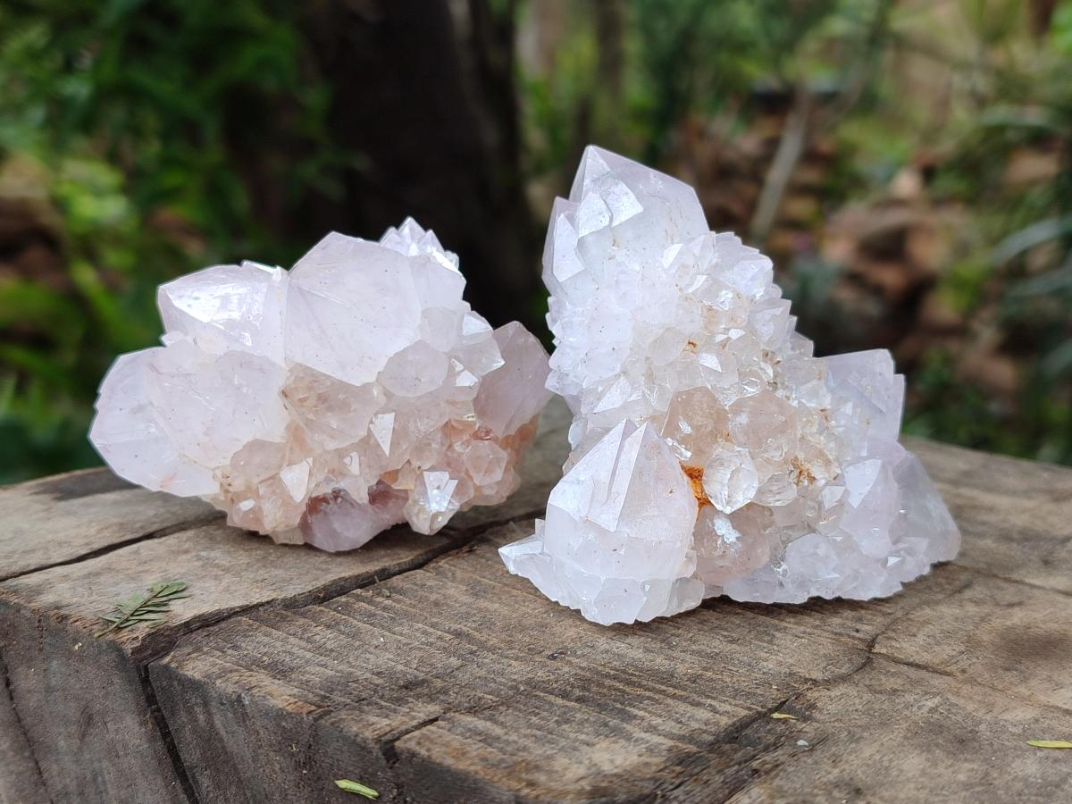 Natural Cactus Flower Amethyst Spirit Clusters x 6 From South Africa - Toprock Gemstones and Minerals 