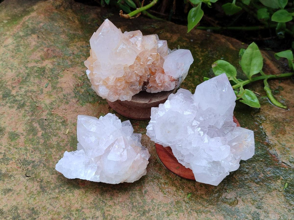 Natural Cactus Flower Amethyst Spirit Clusters x 6 From South Africa - Toprock Gemstones and Minerals 