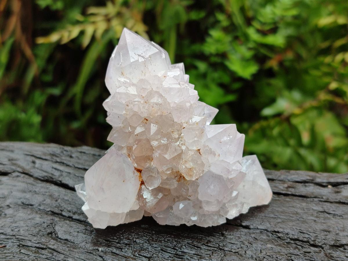 Natural Cactus Flower Amethyst Spirit Clusters x 6 From South Africa - Toprock Gemstones and Minerals 