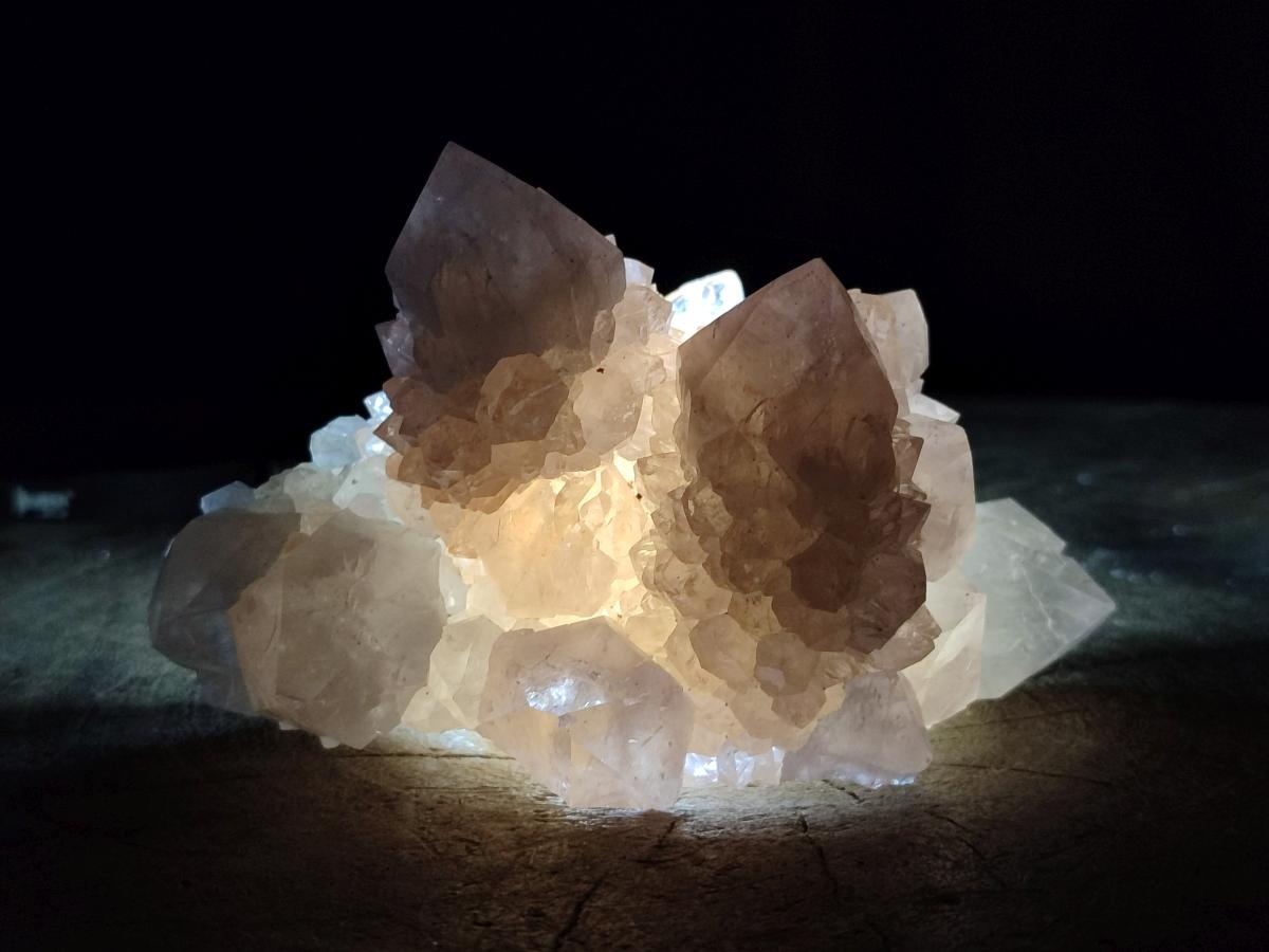 Natural Cactus Flower Amethyst Spirit Clusters x 6 From South Africa - Toprock Gemstones and Minerals 