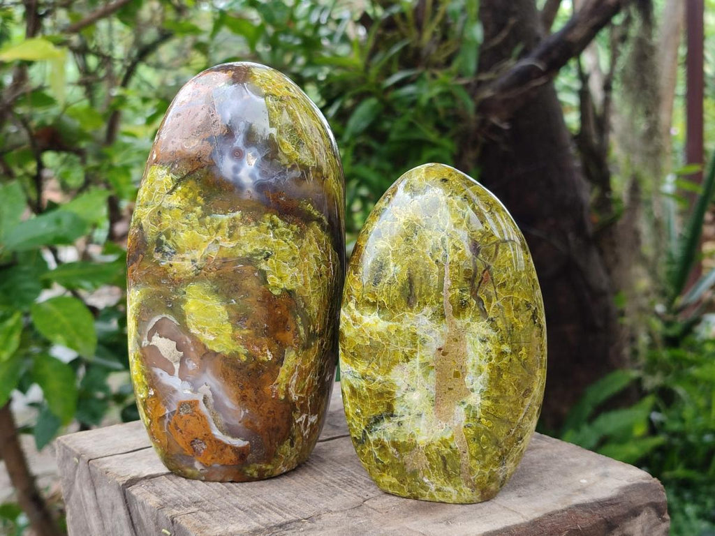Polished Green Opal Standing Free Forms x 2 From Betroka, Madagascar - Toprock Gemstones and Minerals 