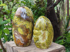 Polished Green Opal Standing Free Forms x 2 From Betroka, Madagascar - Toprock Gemstones and Minerals 