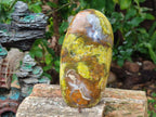 Polished Green Opal Standing Free Forms x 2 From Betroka, Madagascar - Toprock Gemstones and Minerals 