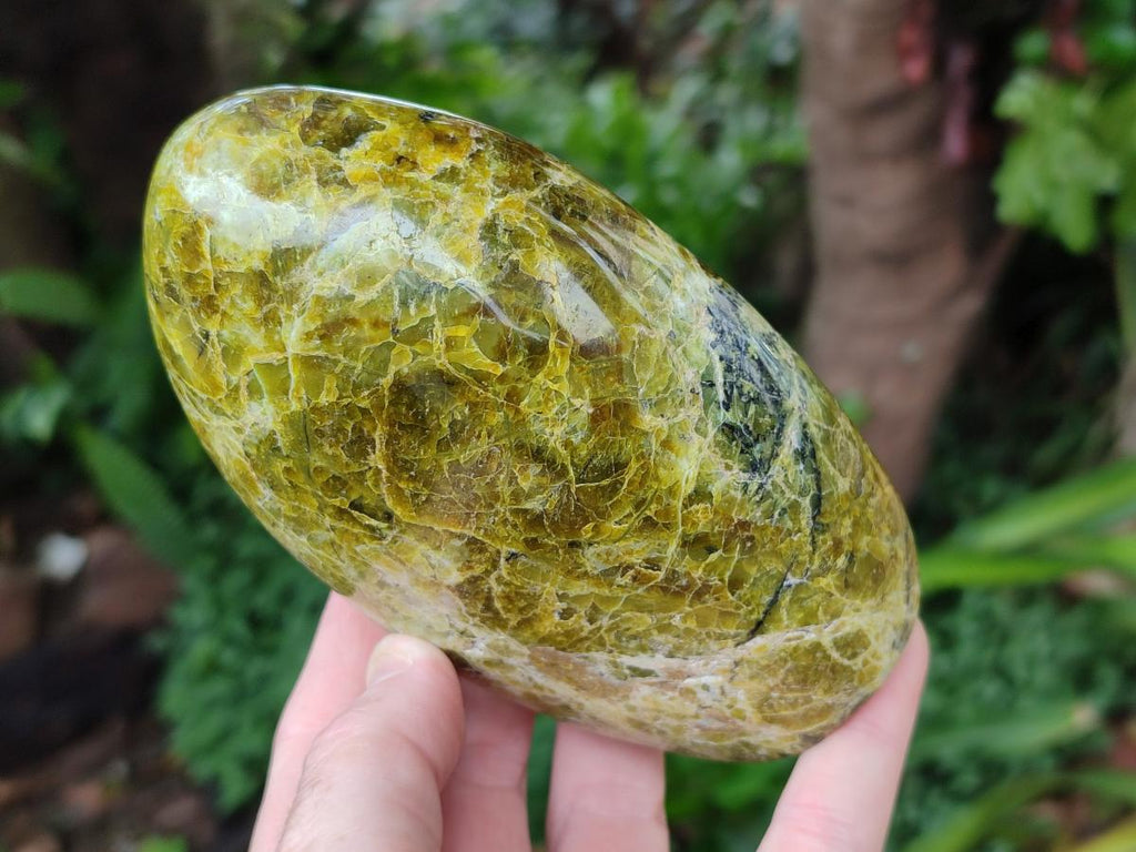Polished Green Opal Standing Free Forms x 2 From Betroka, Madagascar - Toprock Gemstones and Minerals 