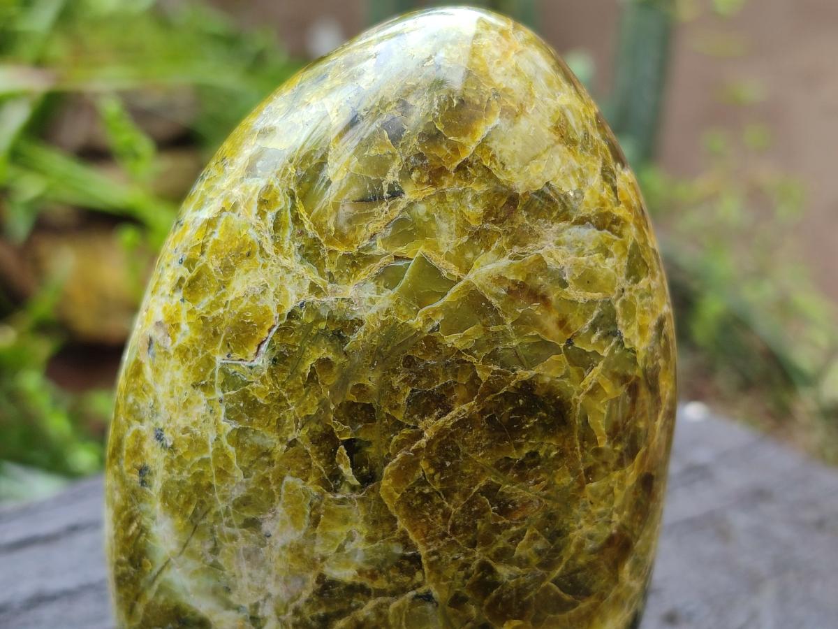 Polished Green Opal Standing Free Forms x 2 From Betroka, Madagascar - Toprock Gemstones and Minerals 