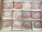 Polished Gemmy Rose Quartz Palm Stones x 12 From Madagascar - Toprock Gemstones and Minerals 