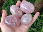 Polished Gemmy Rose Quartz Palm Stones x 12 From Madagascar - Toprock Gemstones and Minerals 