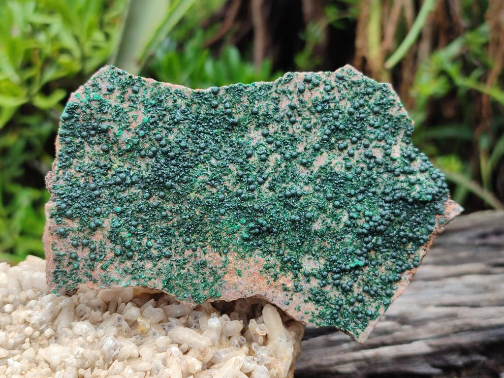 Natural Botryoidal Crystalline Malachite Specimens x 12 From Tenke Fungurume, Congo - Toprock Gemstones and Minerals 