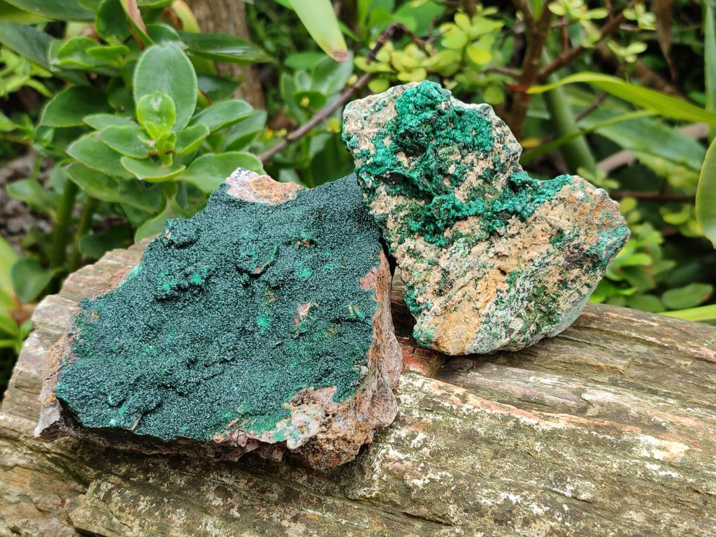 Natural Botryoidal Crystalline Malachite Specimens x 12 From Tenke Fungurume, Congo - Toprock Gemstones and Minerals 