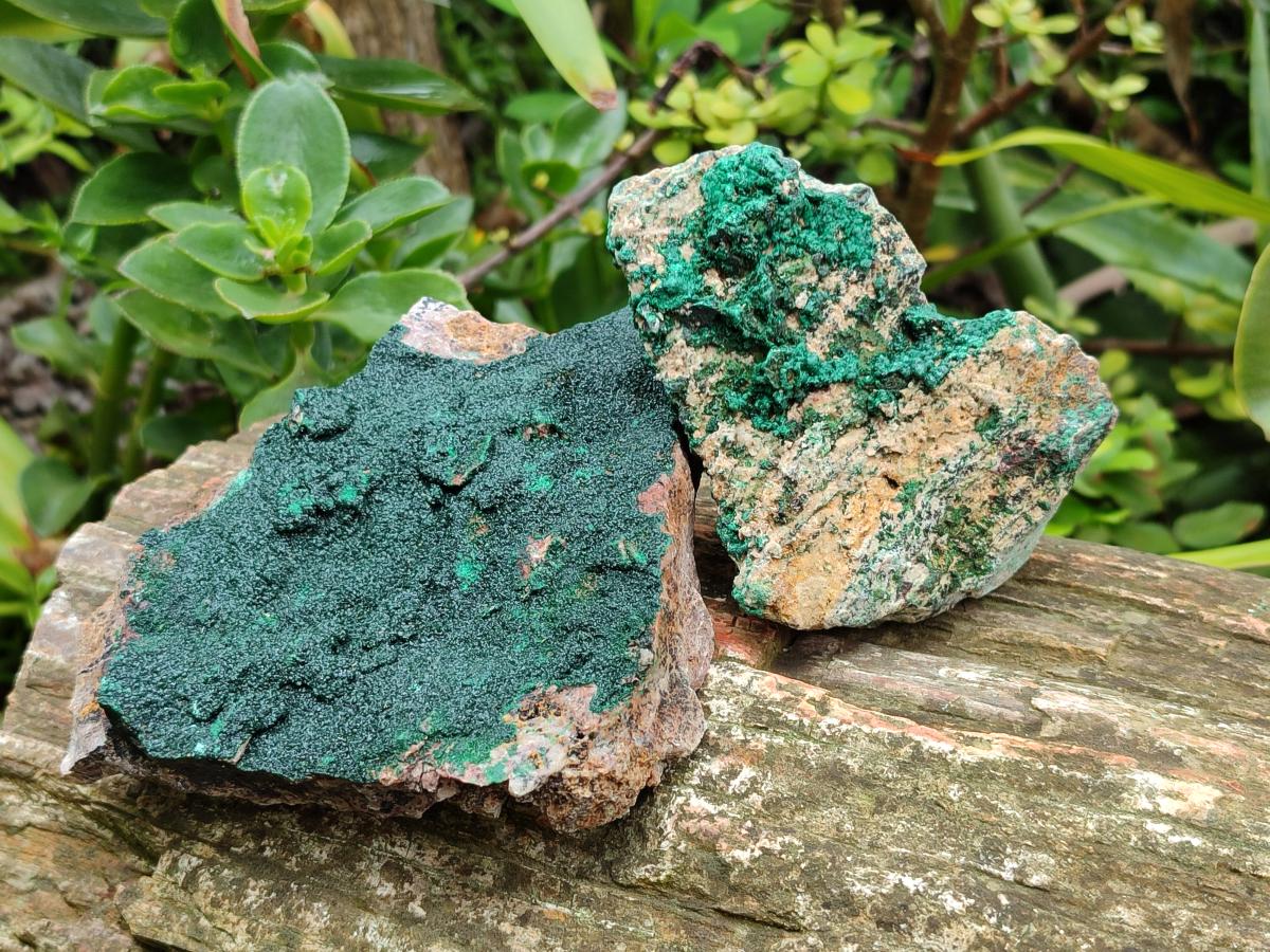Natural Botryoidal Crystalline Malachite Specimens x 12 From Tenke Fungurume, Congo - Toprock Gemstones and Minerals 