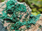 Natural Botryoidal Crystalline Malachite Specimens x 12 From Tenke Fungurume, Congo - Toprock Gemstones and Minerals 