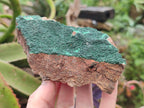 Natural Botryoidal Crystalline Malachite Specimens x 12 From Tenke Fungurume, Congo - Toprock Gemstones and Minerals 