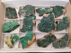 Natural Botryoidal Crystalline Malachite Specimens x 12 From Tenke Fungurume, Congo - Toprock Gemstones and Minerals 