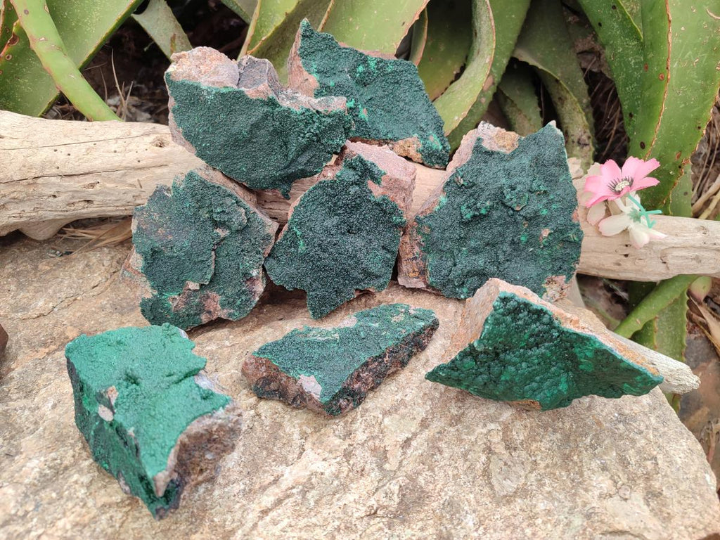 Natural Botryoidal Crystalline Malachite Specimens x 12 From Tenke Fungurume, Congo - Toprock Gemstones and Minerals 