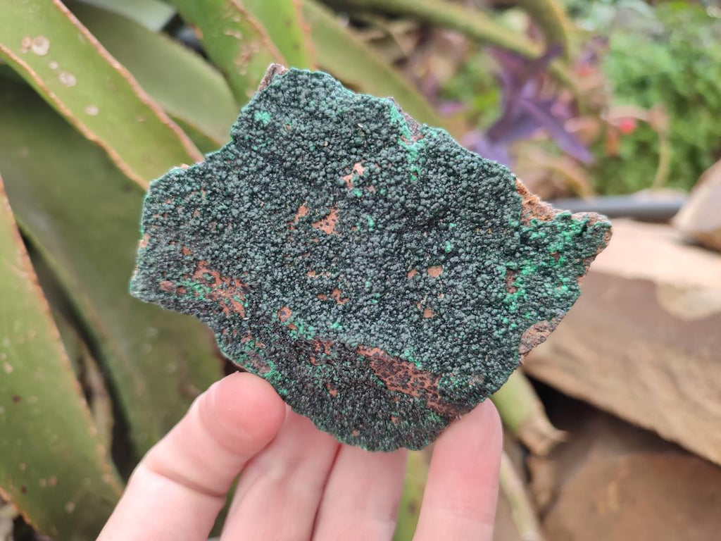 Natural Botryoidal Crystalline Malachite Specimens x 12 From Tenke Fungurume, Congo - Toprock Gemstones and Minerals 