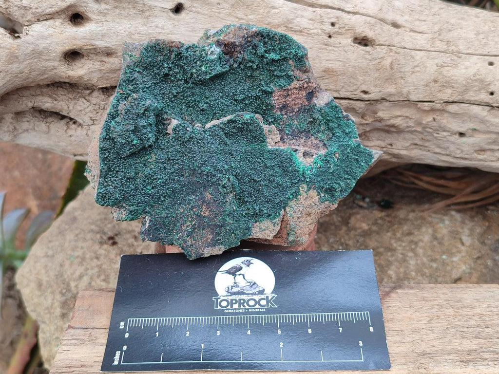 Natural Botryoidal Crystalline Malachite Specimens x 12 From Tenke Fungurume, Congo - Toprock Gemstones and Minerals 