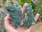 Natural Botryoidal Crystalline Malachite Specimens x 12 From Tenke Fungurume, Congo - Toprock Gemstones and Minerals 