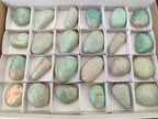 Polished Amazonite Free Forms x 24 From Zimbabwe - Toprock Gemstones and Minerals 