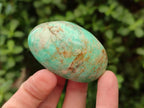 Polished Amazonite Free Forms x 24 From Zimbabwe - Toprock Gemstones and Minerals 