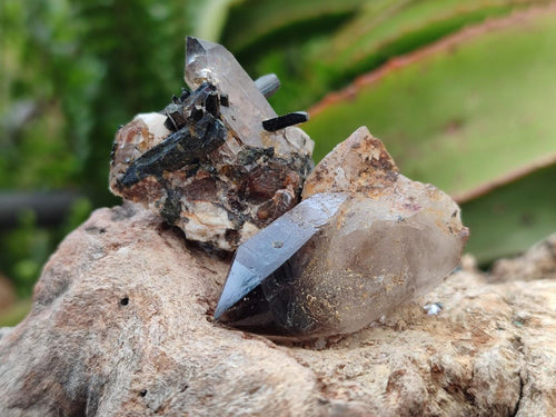 Natural Smokey Quartz Crystals x 70 From Mulanje, Malawi - Toprock Gemstones and Minerals 