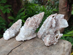 Natural Drusy Quartz Coated Spearhead Calcite Crystals x 12 From Albert's Mountain, Lesotho - Toprock Gemstones and Minerals 